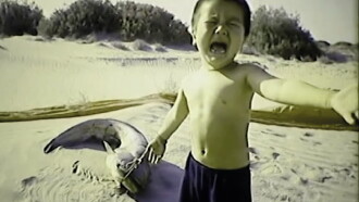 Fellini Trailer