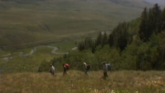 Fern Hill Trailer