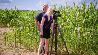 Fields of Gold Trailer