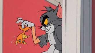 Filet Meow Trailer