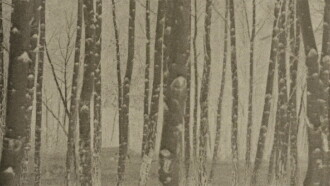 Film Dedicated to Water and Trees Trailer