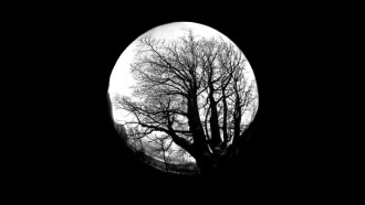 FILM IV Trailer