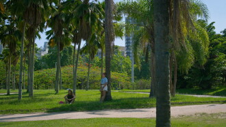 Filme de Areia Trailer