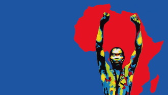 Finding Fela Trailer
