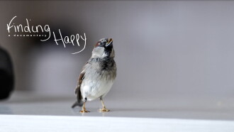Finding Happy Trailer
