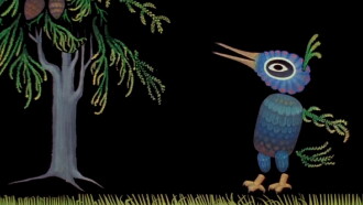 Fine Feathers Trailer