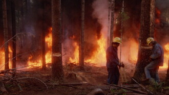 Fire! Trailer