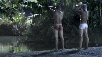 Fireflies Trailer