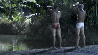 Fireflies Trailer