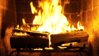 Fireplace for Your Home: Birchwood Edition Trailer
