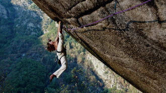 First Ascent Trailer