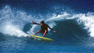 Fish: The Surfboard Documentary Trailer