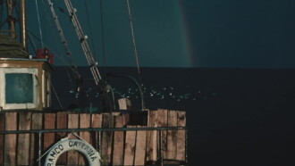 Fishing Boats Trailer