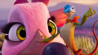 Flamin­go Flamenco Trailer