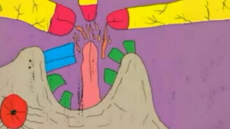 Flaming Nipples Trailer