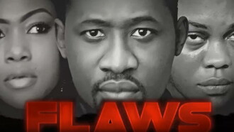 Flaws Trailer