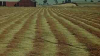 Flax from Canada - Part One: Growing Flax Trailer