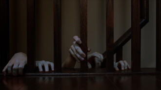 FLICKER Trailer