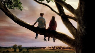 Flipped Trailer