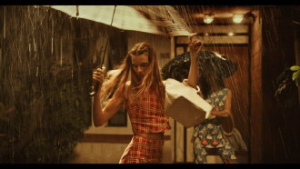 Flipper Trailer