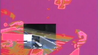 Flippers Trailer