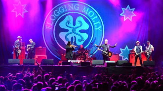 Flogging Molly - Live Bunbury festival Trailer