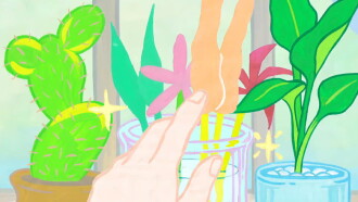 flower Trailer