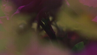 Flowerbed Trailer