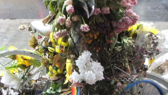 Flowers and Bike Trailer