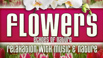 Flowers: Echoes of Nature Relaxation with Music & Nature Trailer