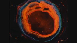 Fluids Trailer