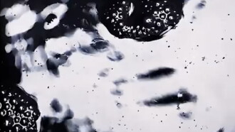 Fluids Trailer