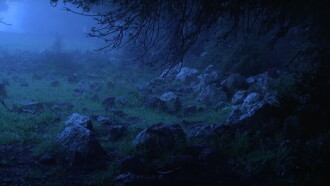 Fog Trailer