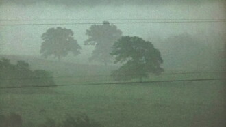 Fog Line Trailer