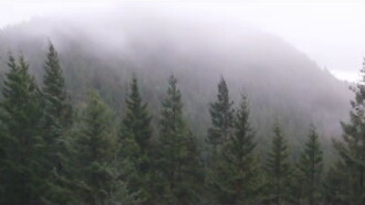 Fog Movies Live Trailer