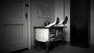 Folds Trailer