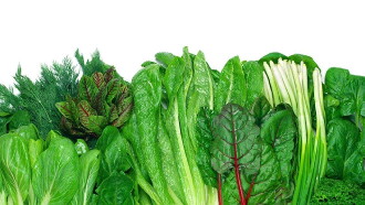 Foods That Cure Disease Trailer