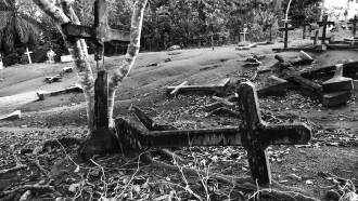 Fordlandia Malaise Trailer