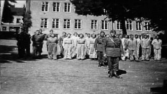 Förintelsens beska efterbörd - Röda Korset och svensk hjälpverksamhet 1945-1947 Trailer
