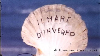 Formato ridotto - Libere riscritture del cinema amatoriale Trailer