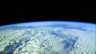 Forsenses - A Fascinating Journey into Nature & Sound Trailer