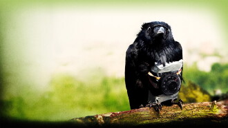 Four Lions Trailer
