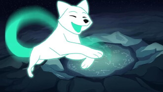 Fox Fires Trailer