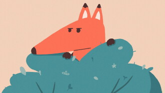 Foxtale Trailer