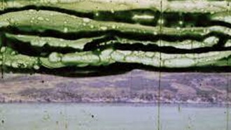 Fragment of a Patagonia Landscape Trailer