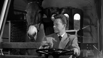Francis Goes to the Races Trailer