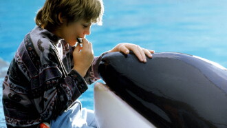 Free Willy Trailer