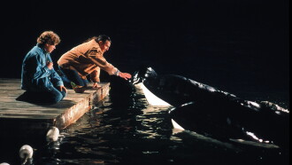 Free Willy 2: The Adventure Home Trailer