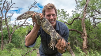 Freek In Het Wild Trailer