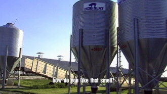 Fresh Trailer